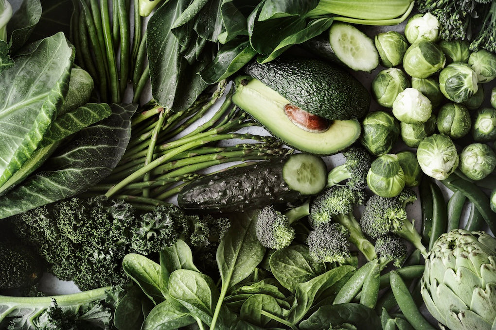 Chlorophyll und Rotlichtlampe - das Power Duo auf das wir gewartet haben?