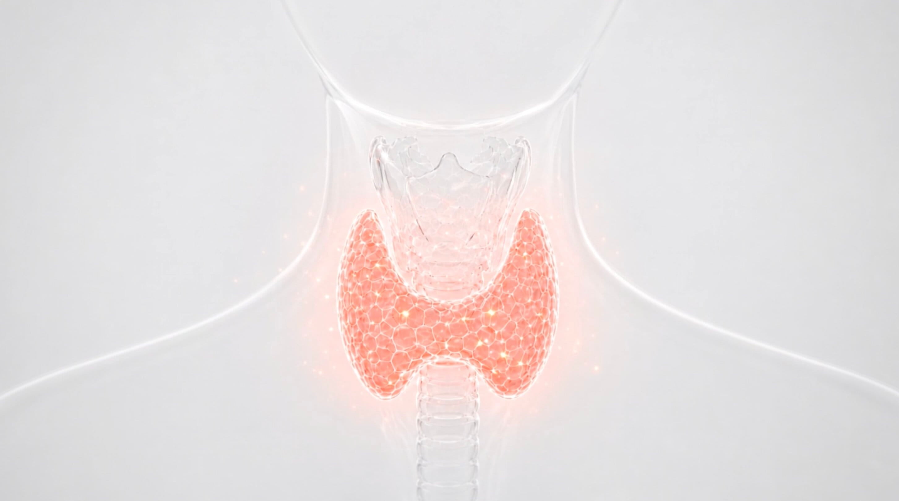 Thyroid_1.jpg