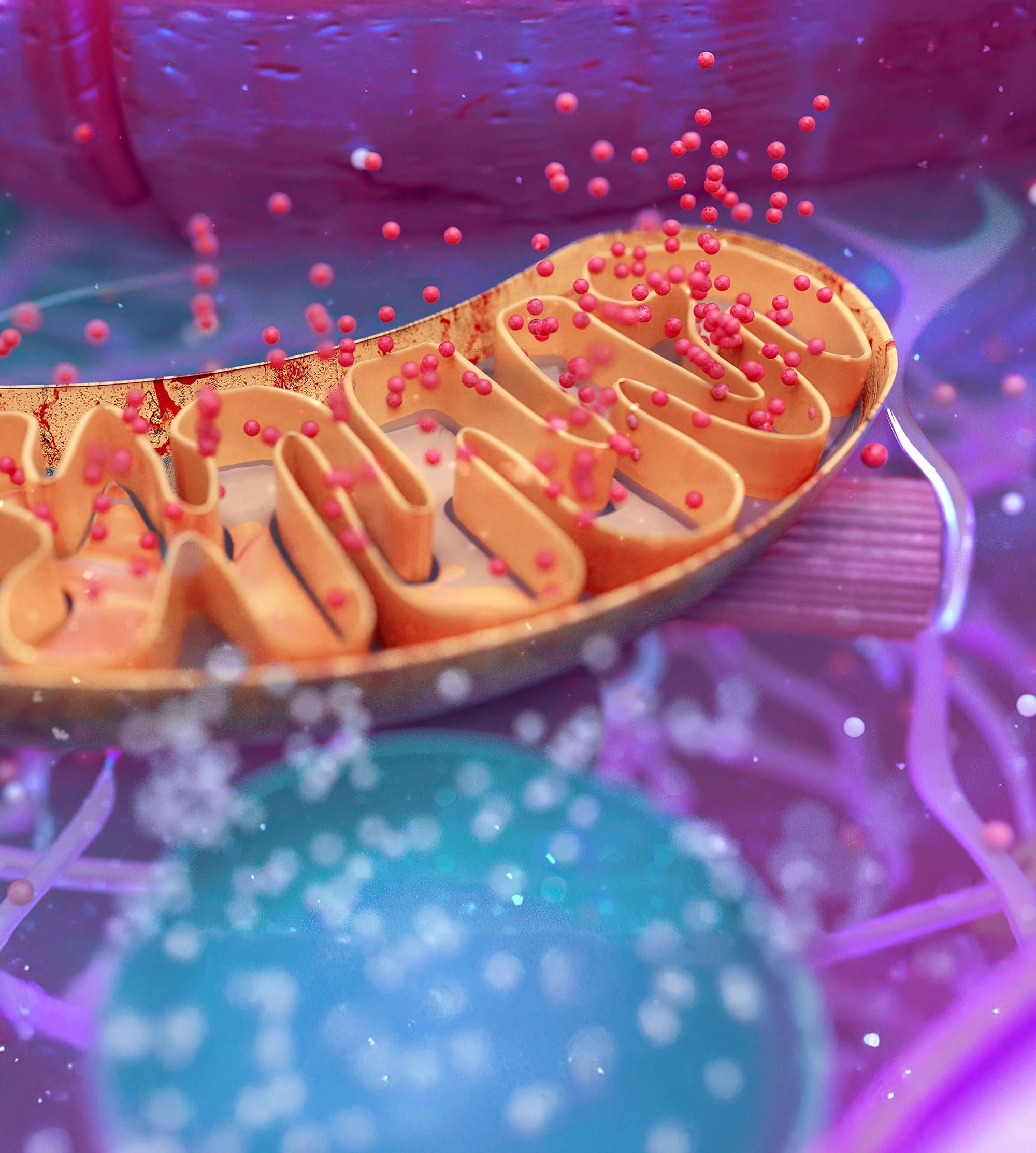 abstract-3d-illustration-biological-cell-mitochondria3-min.jpg