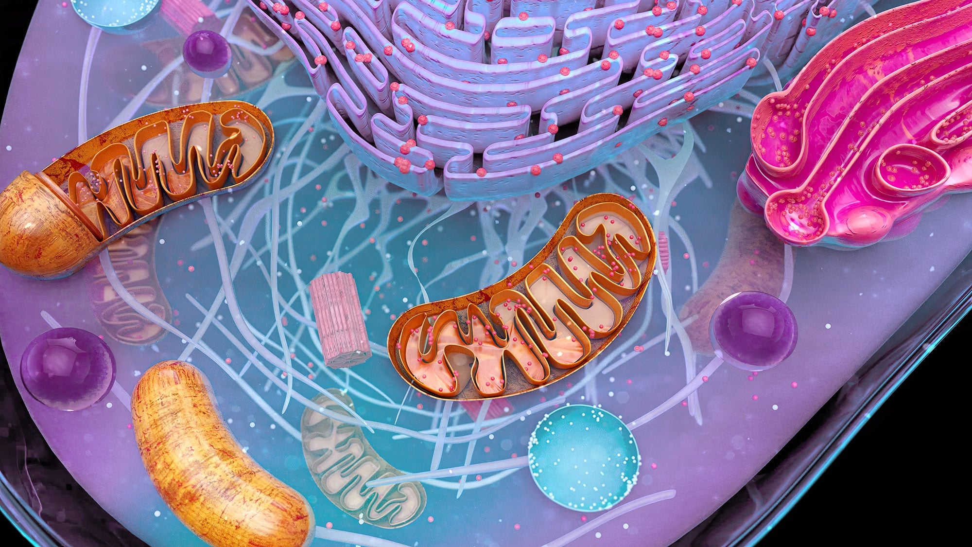 abstract-illustration-mitochondria2-min.jpg
